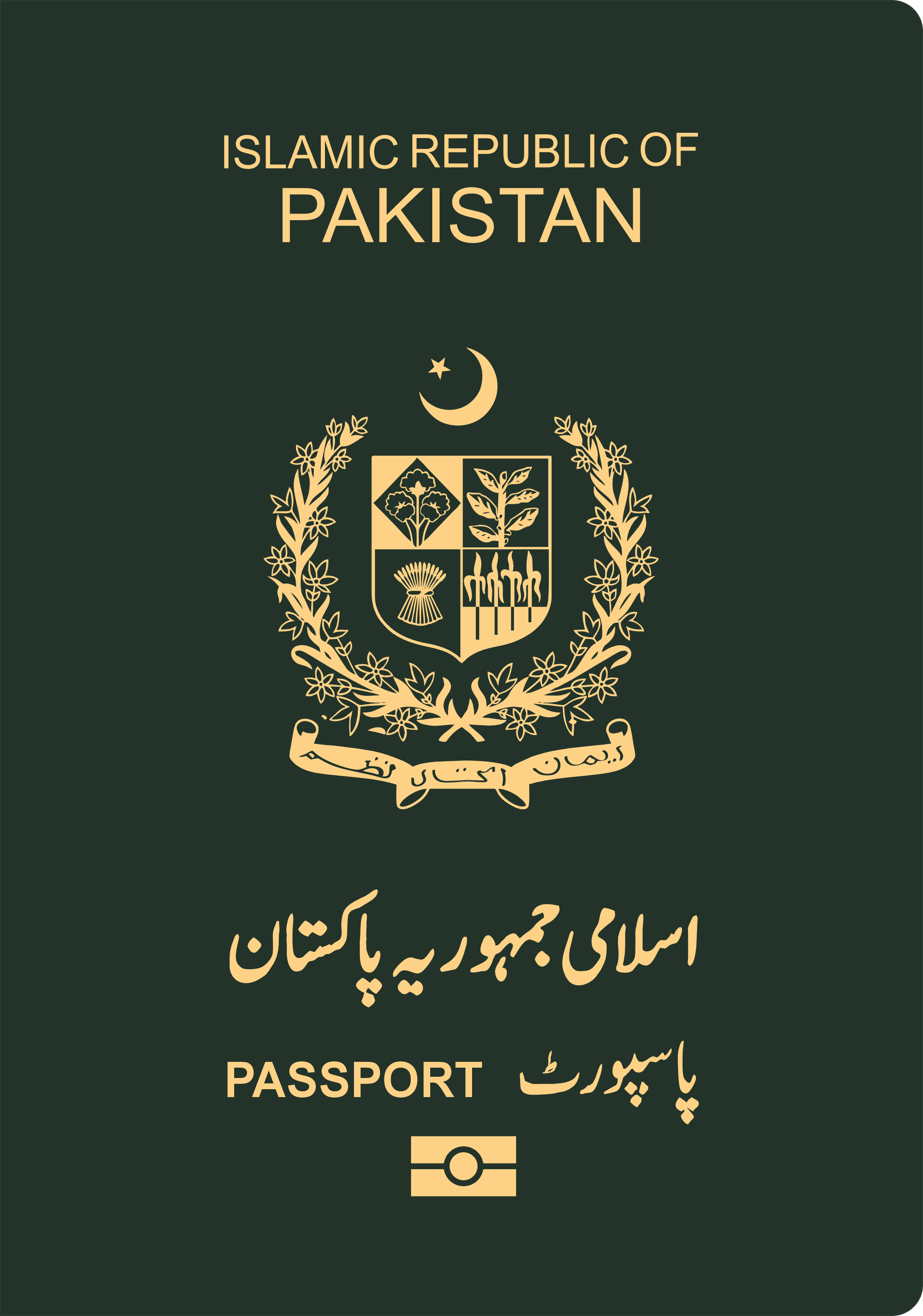 Pakistani Passport Cover